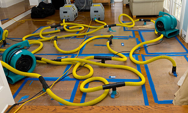 Professional Water Damage Restoration technician working in Royse City, TX